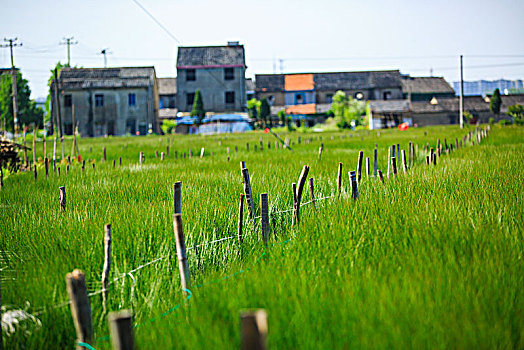lô miền bắc hôm nay