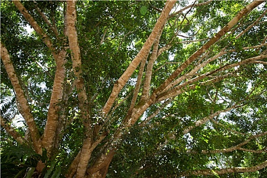 quả xổ số
