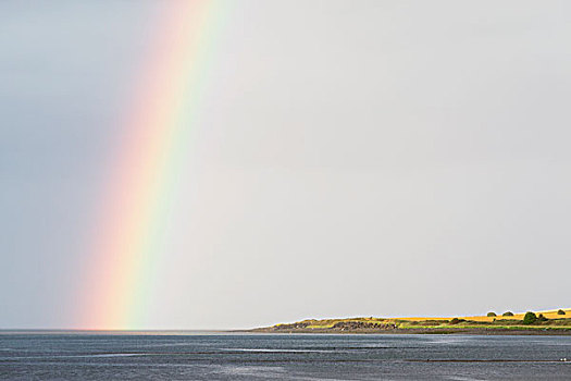 xs30 ngay