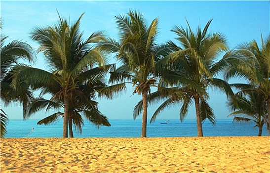 soi cầu xsmb miễn phí
