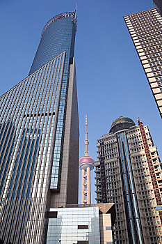 cau 2888