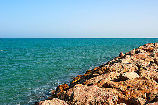 bạch thủ miền bắc