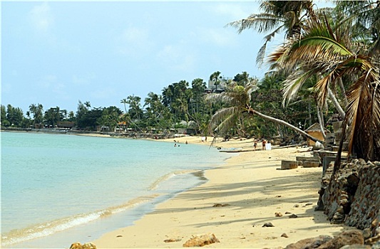 xsmb soi cau bach thu