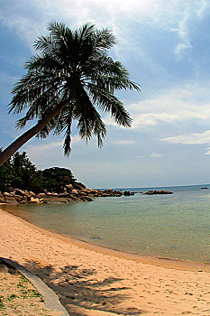 soi cau lo chinh xac