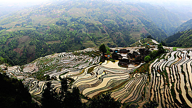 xsmb thu 4 du doan