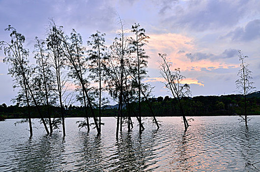 xsmn thu 2 hang tuan