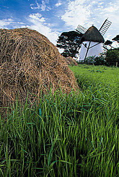 lô bạch thủ miễn phí