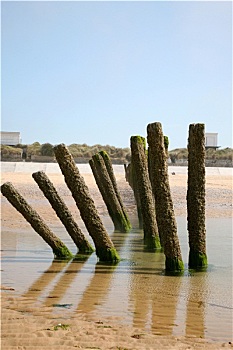 bach thu de