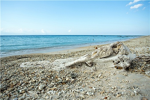 bach thu de mien bac hom nay