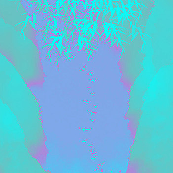 so xo vt