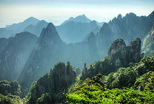 soi lo mien nam