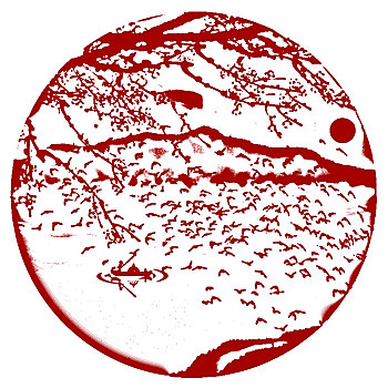soi cau dau duoi