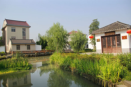 xs rong bach kim