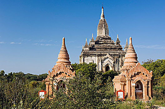 soi cau 4 so