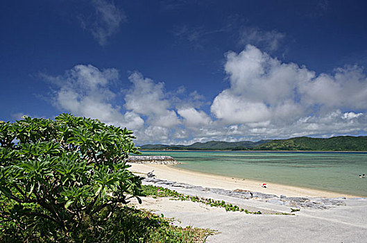 cầu bạch thủ long an