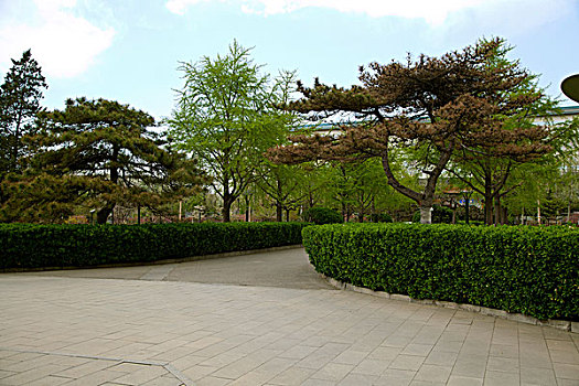 bạch thủ miền bắc 24 giờ