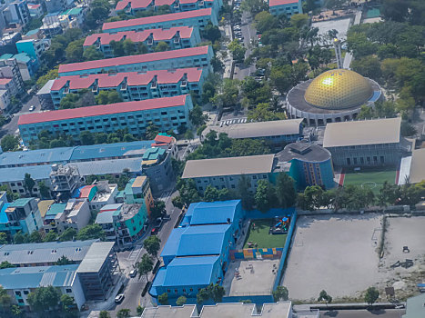 soi cau lo chuan mien bac