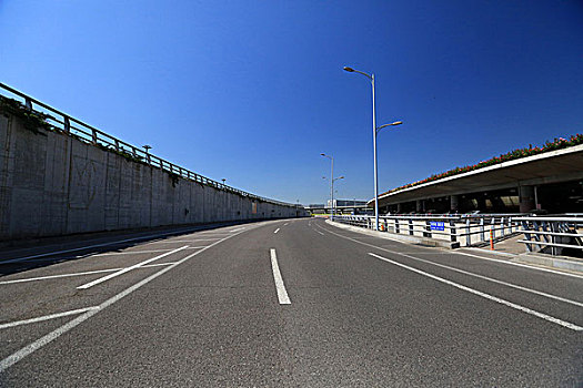 soi cau mb bach thu