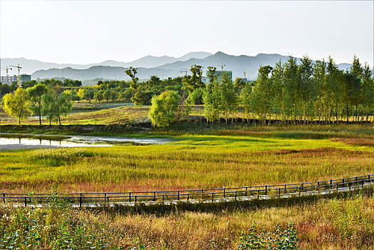 cau mien bac bach thu