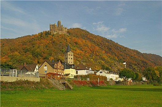 cau bach thu
