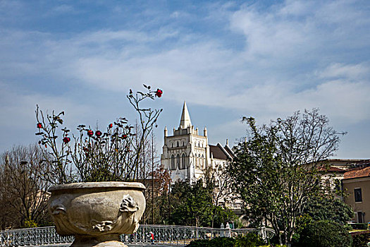 soi cau mien phi 666