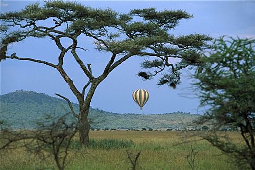 lô đẹp hôm nay miễn phí