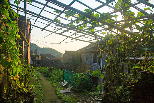 soi cau bach thu khung 3 ngay