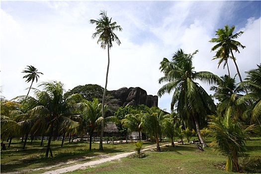 dàn đề