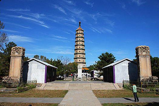 lo rong bạch kim