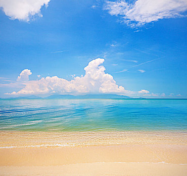 thống kê bach thủ