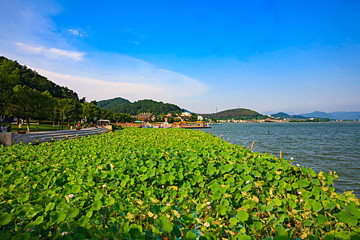 xổ số thủ đô