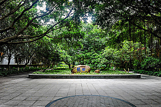 dự đoán xổ